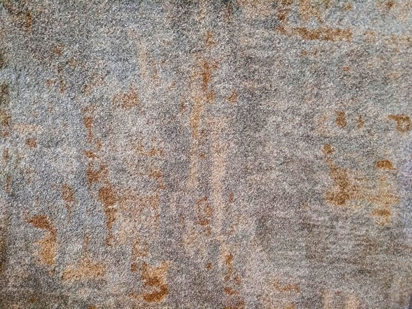 Carus Golden Gate 002 27152