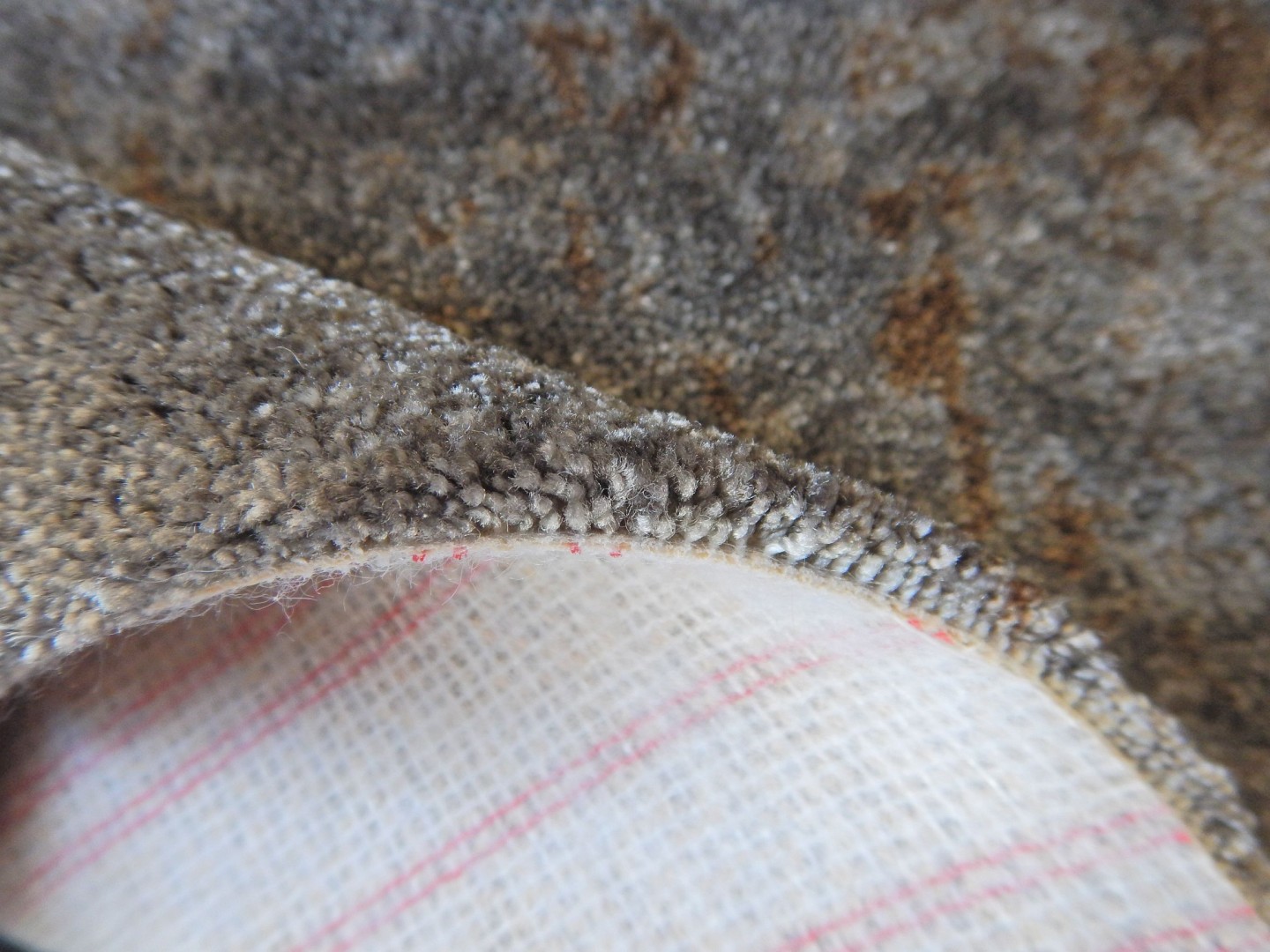 Carus Golden Gate 002 27152