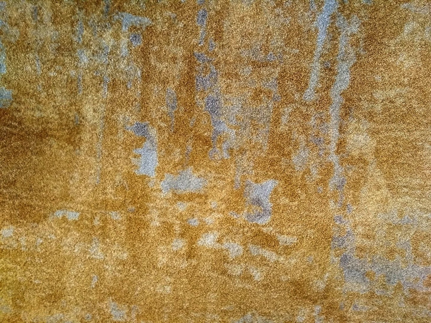 Carus Golden Gate 002 27010