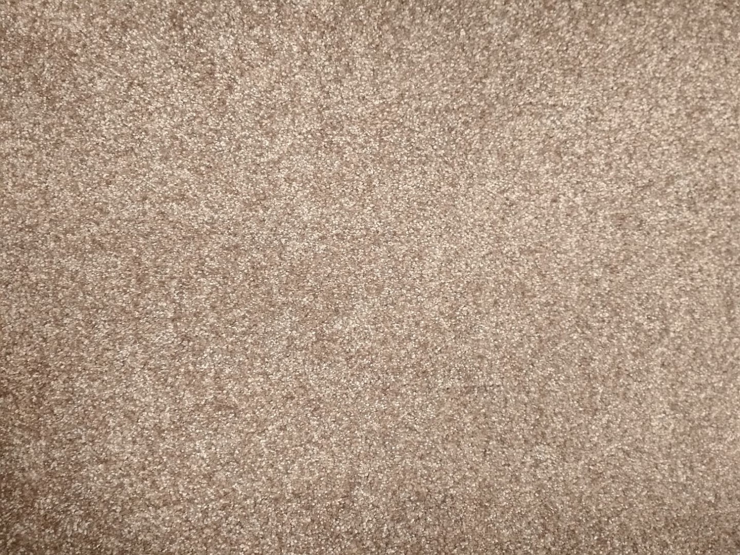 Beaulieu Ideal Blush Inspirations 405