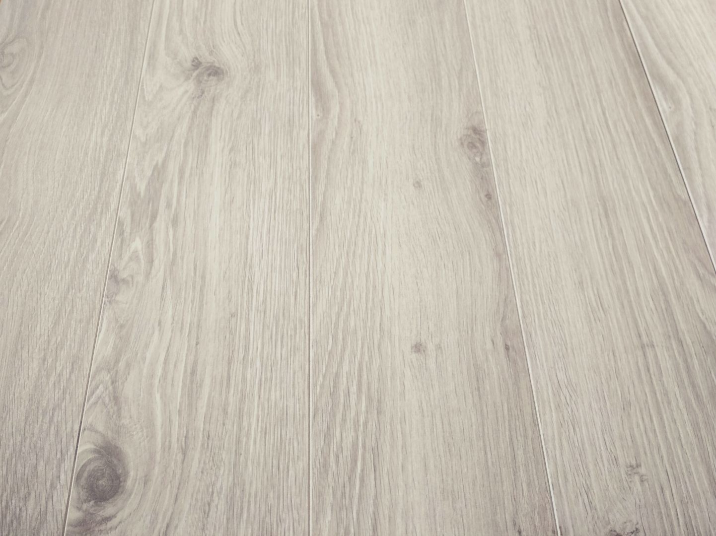 Classen Dąb Argenta Szary